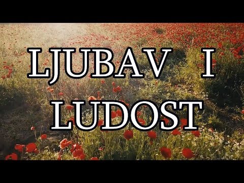 Prica o ljubavi i ludosti