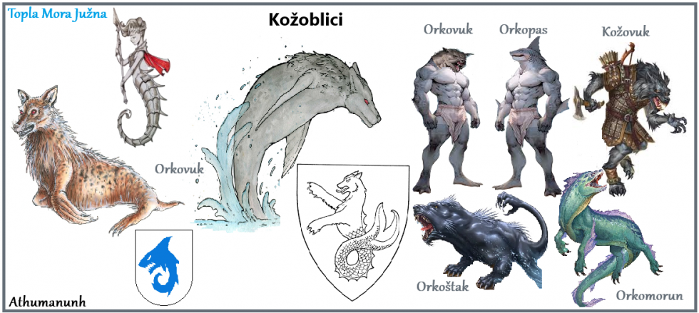 Topla Mora Južna – Orkovuk (kožoblik Hladnih Mora Sjevera)