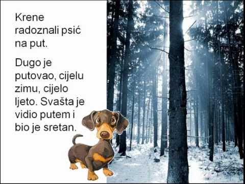 Kuća s tisuću zrcala