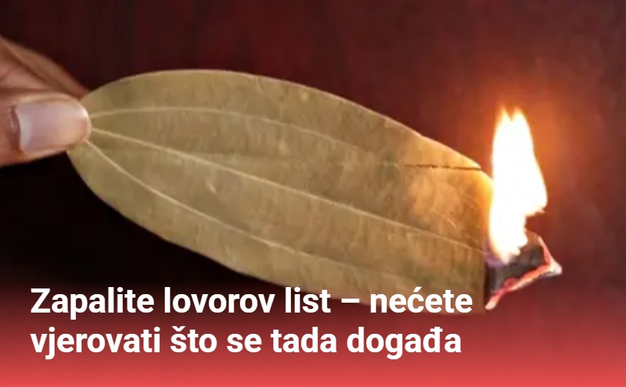 Lovorov list je čudotvorna biljka